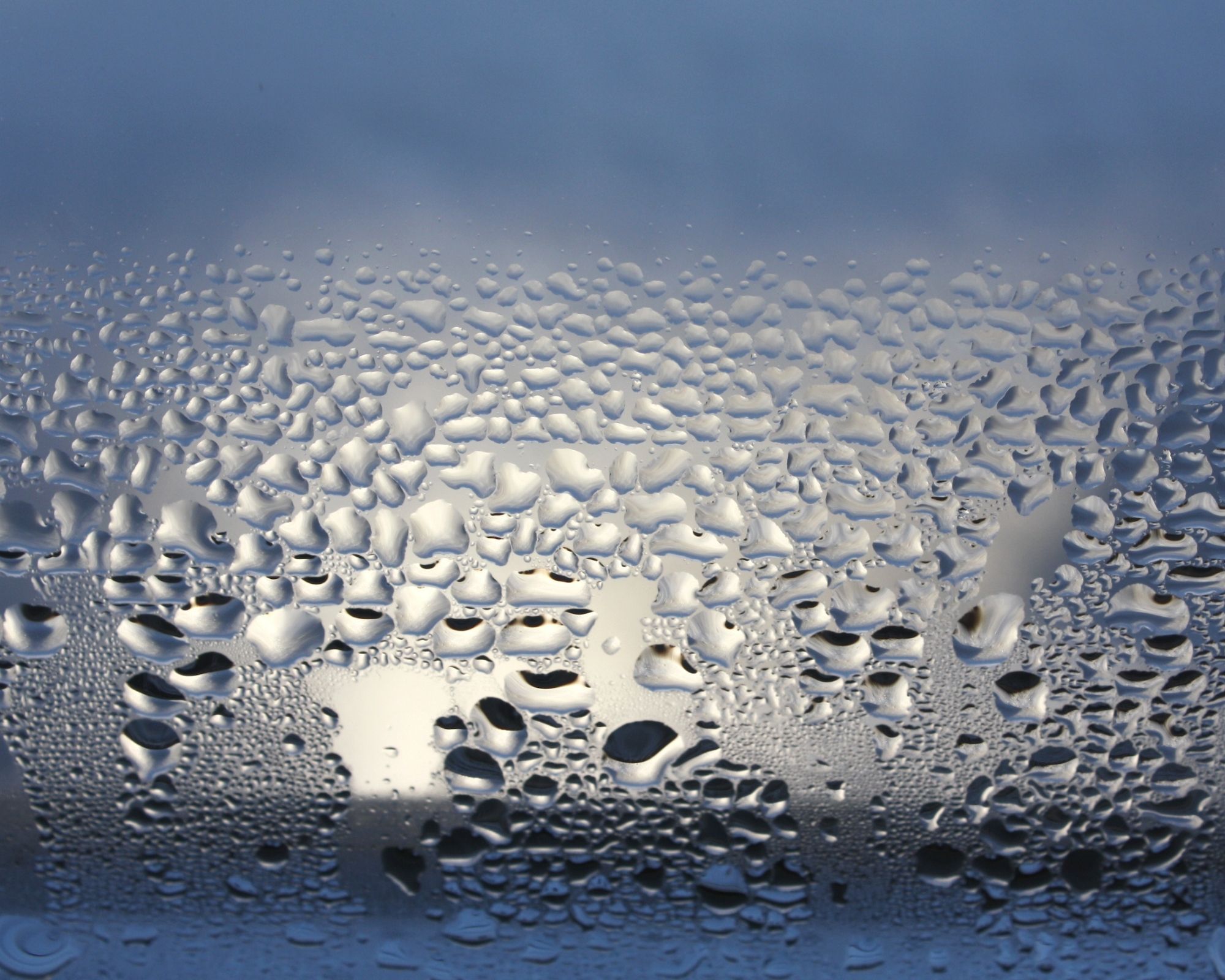 Expertise humidité maison et appartement | Check my House