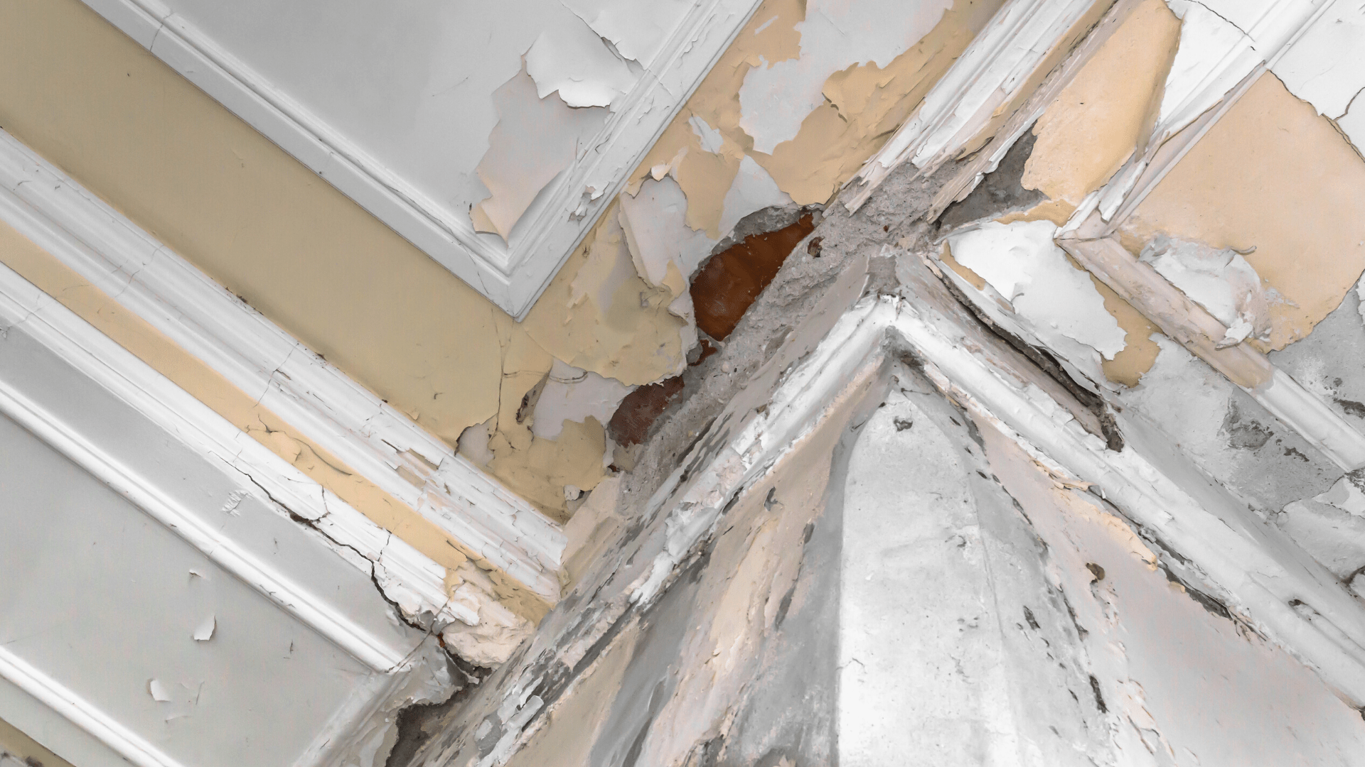 Expertise humidité maison Expertise humidité maison