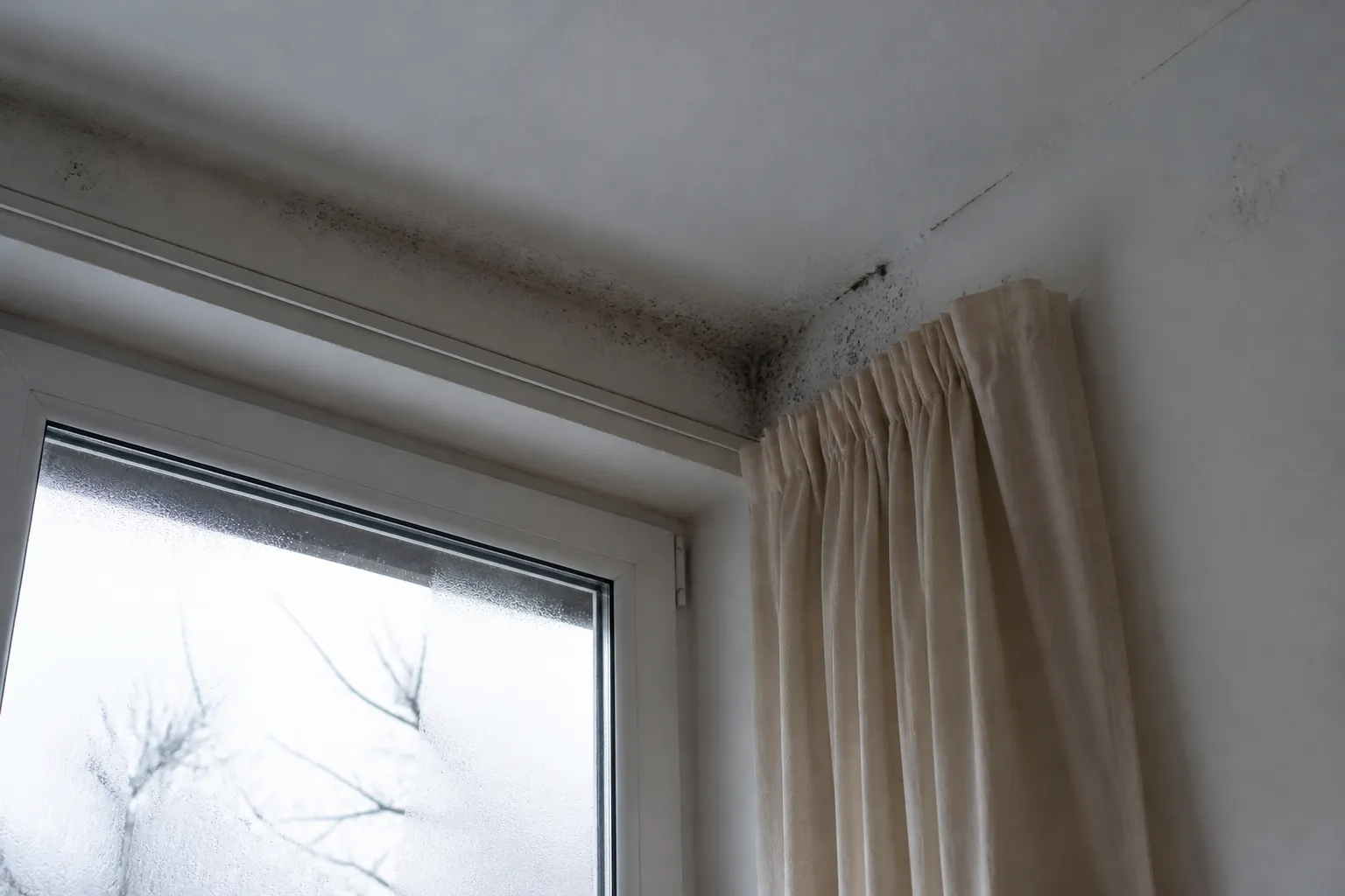 Buee sur un vitrage et moisissures dans l angle du mur